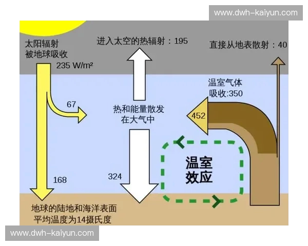 太阳新闻：你的即时视野与温度报道
